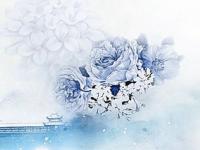 《守护者传播计划》栏目组走进景德镇